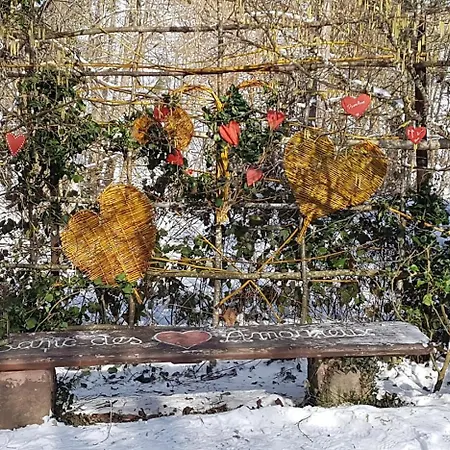 Maison En Duplex * Beblenheim